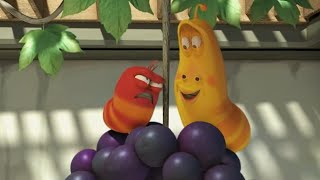 포도! | 라바 | 어린이를 위한 만화 | 와일드브레인 코리안