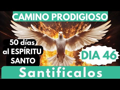 día 46 🔥🙏 CAMINO PRODIGIOSO 50 DÍAS AL ESPÍRITU/ Santifícalos en la verdad 🙏🔥