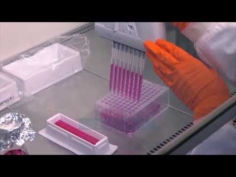 Nga sot, udhëtimet drejt Italisë me rregulla të reja/ Ja çfarë duhet të dini - Vizion Plus