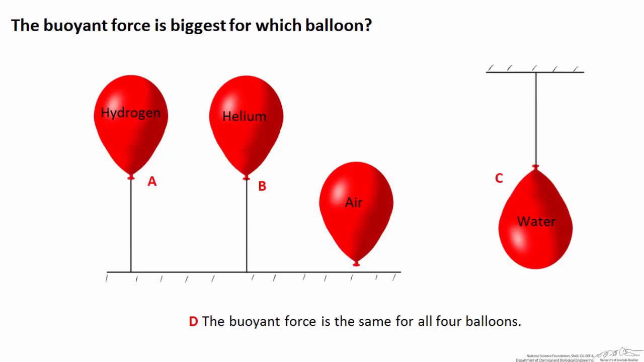 Buoyant Forces (Interactive)