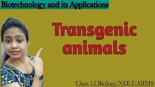 Transgenic animals | Ch-12 Biotechnology and it's applications | Class 12 Biology/NEET/AIIMS