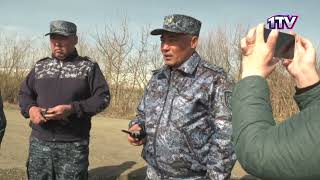 Видео