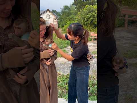 The neighbor woman wanted to hold the baby monkey in her arms, but the baby monkey refused.🥲🐒