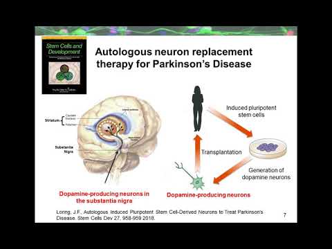 Molecular methods to QC cells intended for translation