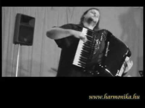 Hora Bucuresti ( Orosz Zoltàn Accordeon ) avi