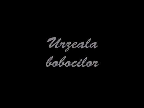 Mishunand prin liceu - 9D 2016 ( LOCUL I )