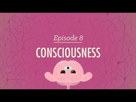 Consciousness: Crash Course Psychology #8