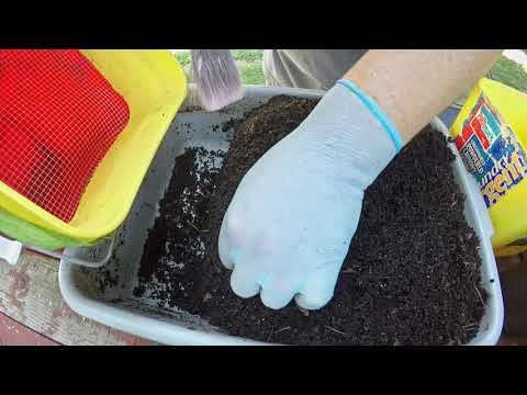 Harvest 134-day red wiggler worm bin - vermicomposting