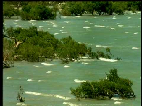 Harth MARCO MILONE (Karuna Reiki) sound of the sea