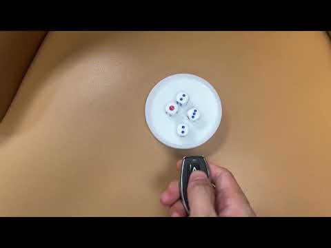Expert-Grade Remote Control Dice Cheating System Unveiled