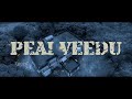 Pei Veedu Tamil Dubbed Horror Thriler Full Movie
