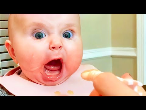 Hilarious Funny Baby Videos Compilation - Laugh Out Loud with Cute Babies