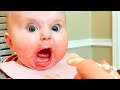 Hilarious Funny Baby Videos Compilation - Laugh Out Loud with Cute Babies