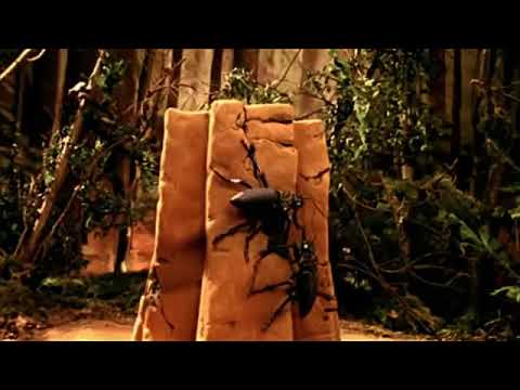 Rammstein Links 2 3 4 Official Video