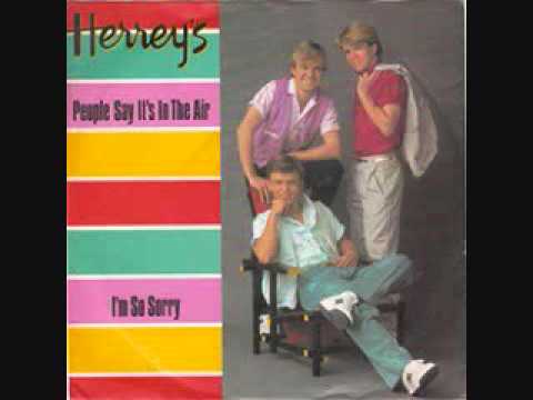 DISC SPOTLIGHT: “People Say It’s In The Air” by The Herrey’s (1985)