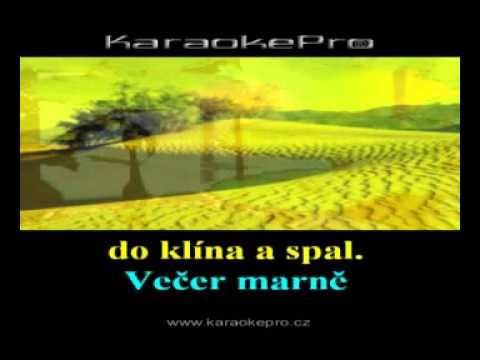 Petr Muk   Ty tančíš sama