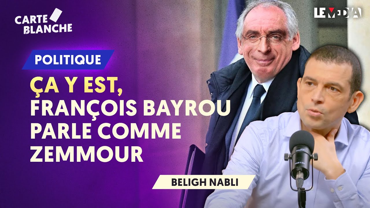 BAYROU ET "LA SUBMERSION MIGRATOIRE" :  LE CENTRISTE MOU DEVIENT ZEMMOUR