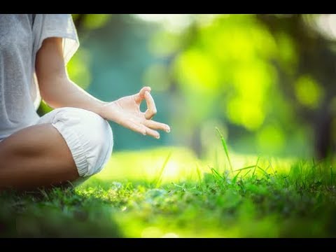 The Zen Teaching of Huang Po by John Blofeld, P'ei Hsiu (1-Min Book Review, With Giulio D'Agostino)