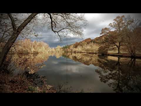 Dragoljub Lazarević   Splet pesama