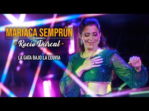 La Gata Bajo la Lluvia - LIVE