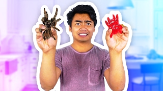 GUMMY FOOD VS REAL FOOD CHALLENGE!