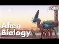 The Incredible World Of The Birrin Part I