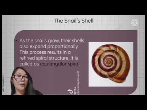 Mathematics in the Modern World| Module 1-4 (Group 4 Reporting)