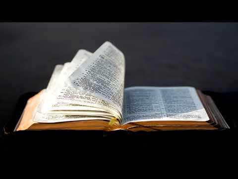 Samen Werken - Opwekking 249 - Getting Used To the Family of God