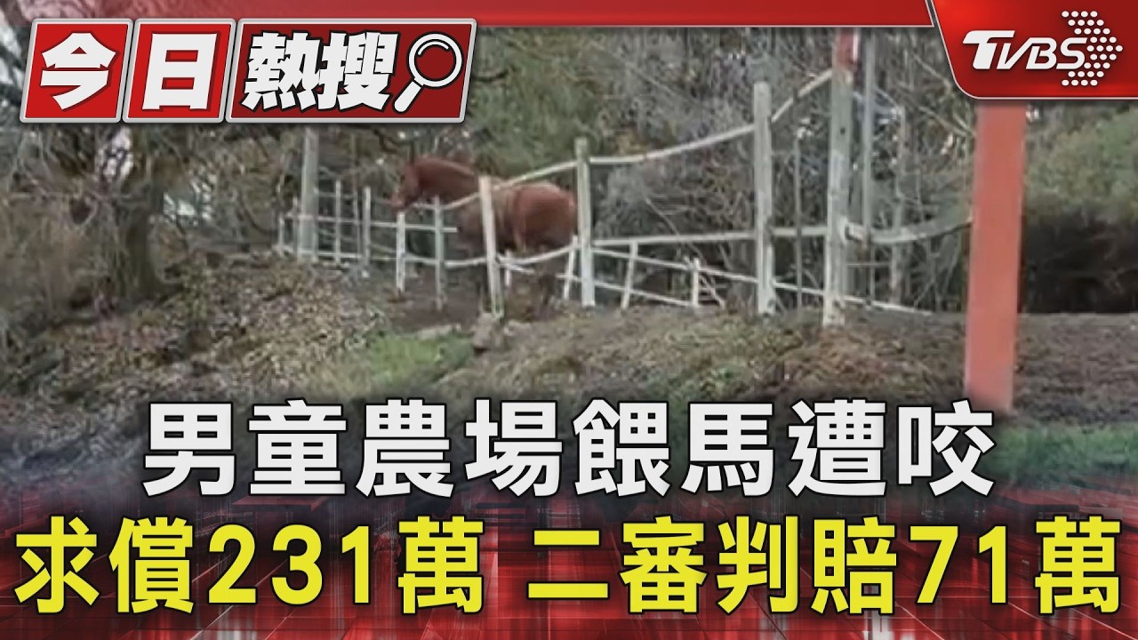 清境農場馬咬童案逆轉!2歲男童「右耳被甩」 業者須賠71萬