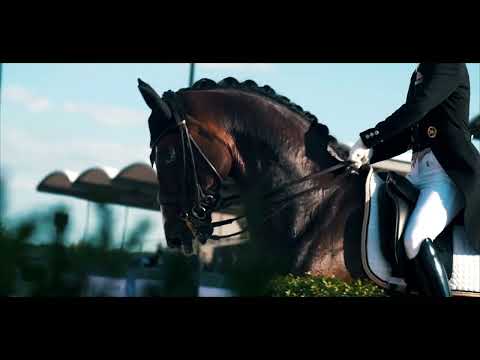 Unicorn Real Estate - Land Of Horses - Gestüt Peterhof