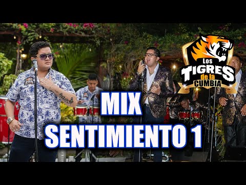 Mix Sentimiento 1 - Los Tigres De la Cumbia