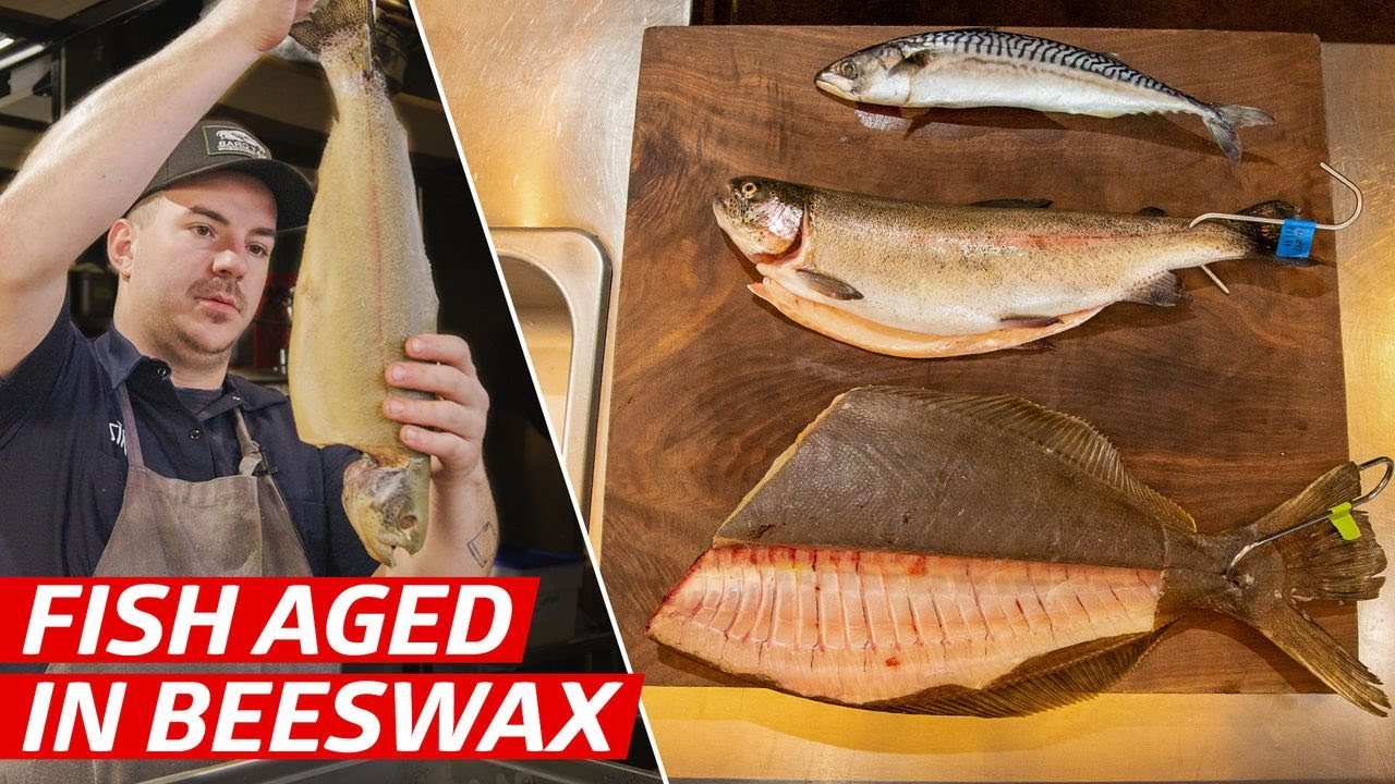 How to Dry-Age Fish in Beeswax Deep Dive