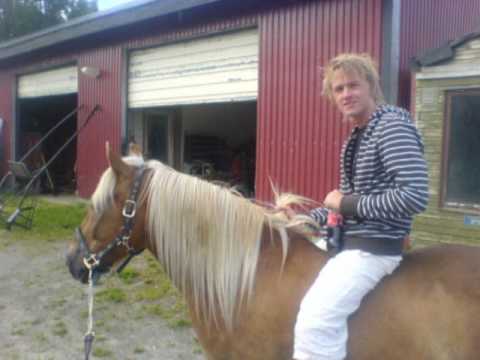 Vertical horizon - Echo