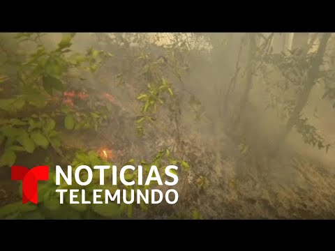 Noticias Telemundo, 24 de agosto 2020 | Noticias Telemundo