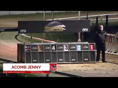 Acomb Jenny - BGBF British Bred Northern Maiden Standard Semi Final 3