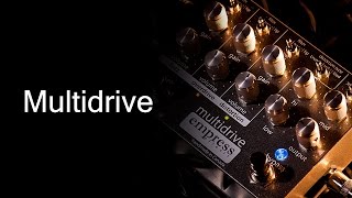 Empress Effects Multidrive - What To Know & Where To Buy