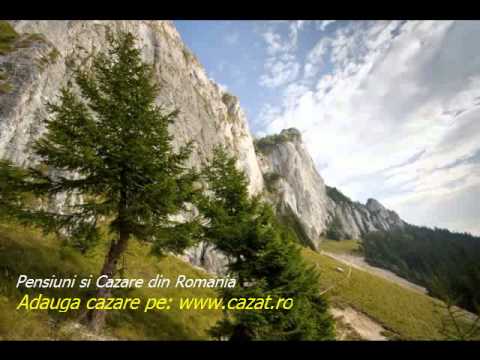 Cazare Negreni, Teleorman - Cazat.ro