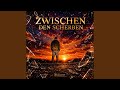 Zwischen den Scherben (Radio Bearbeiten)