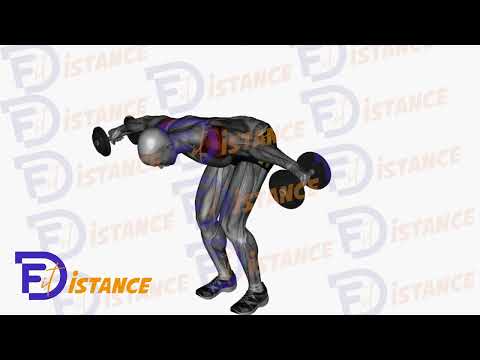 Exercice Élévation arrière avec haltères en position penchée