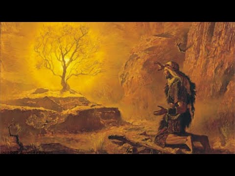 Torah Portion | Shemot - שמות | Names