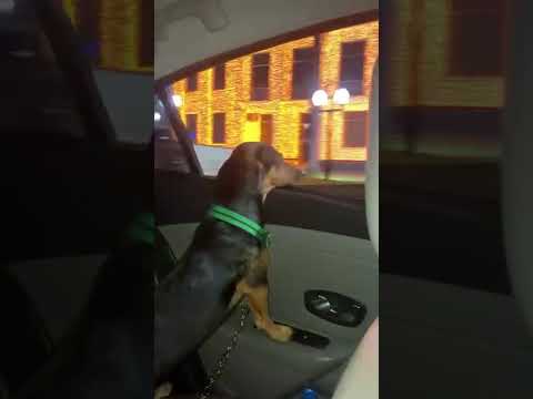 Nego está em Cantagalo PR da @julialouurenco