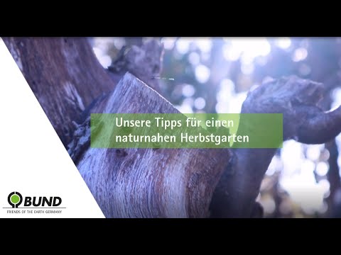 Tipps für einen naturnahen Herbstgarten