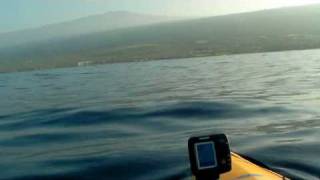 preview picture of video 'Kayak Fishing Keauhou... Two Error's and a Catch!'