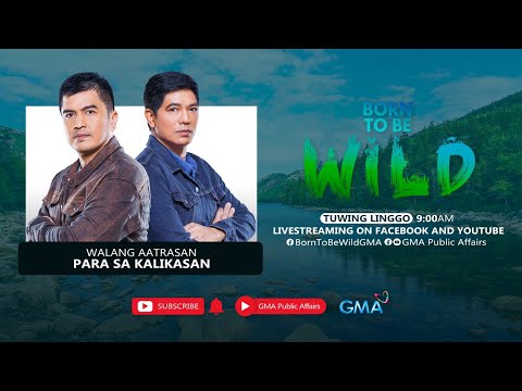 Born to be Wild: (August 24, 2025) LIVESTREAM