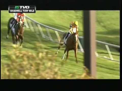 2012 Shadwell Turf Mile Stakes - Wise Dan