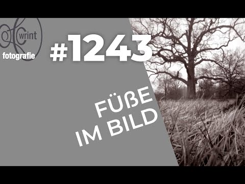 WR1243 Füße im Bild (Videoteil)