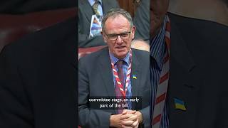 How do Lords members hold the government to account? | Roles in the Lords