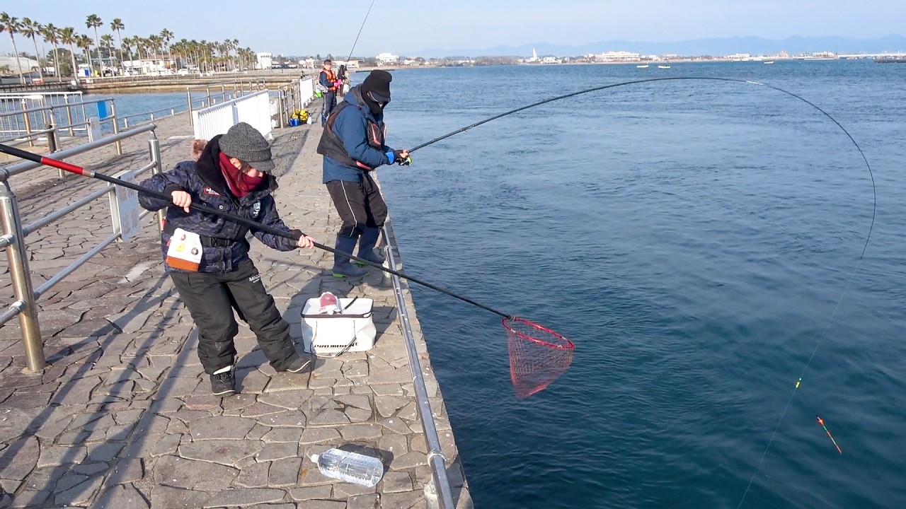 達人おじいとチヌ釣りが凄すぎた。