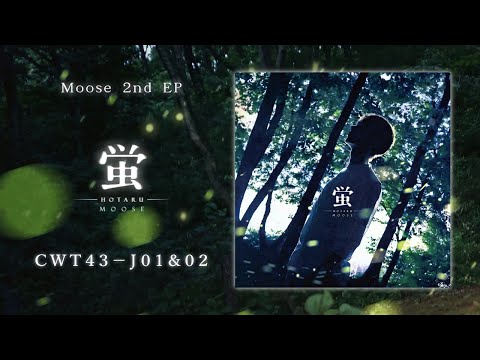 Moose 2nd EP「蛍」クロスフェード