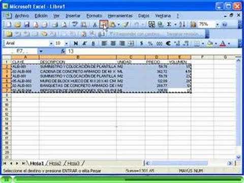 Tutorial de ¿Cómo importar de Excel a NewWall?